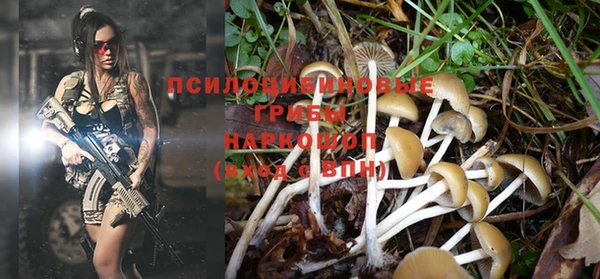 экстази Беломорск