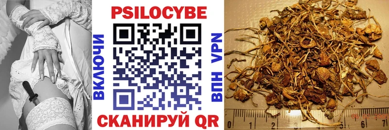 MEGA как войти  Короча  Псилоцибиновые грибы Magic Shrooms 